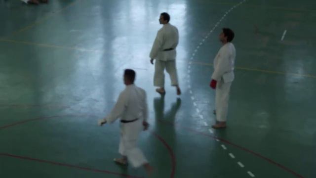 JKA Selectivo 2014 - Gastón Gomez - DSCF9767 смотреть онлайн