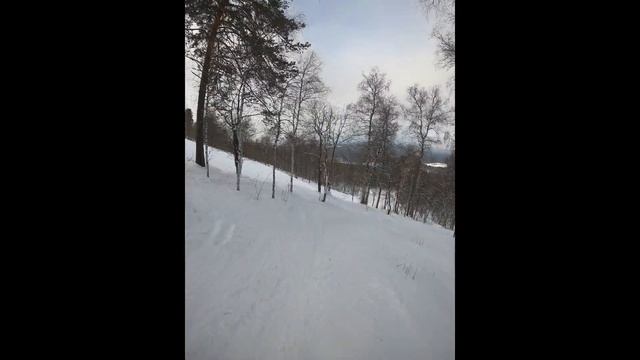 ГЛЦ Завьялиха  Фрирайд