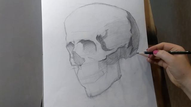 Рисунок черепа карандашом . Уроки рисования ARTIX SCHOOL