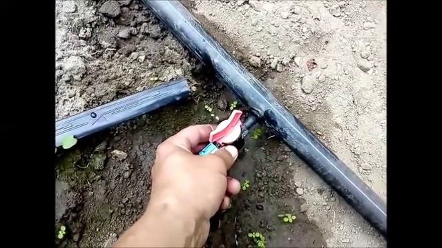 Капельный полив - быстро и просто! смотреть онлайн