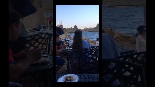 Новый год в Египте , обзор отеля Dreams beach resort, Шарм-эль-Шейх смотреть онлайн
