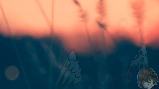GAMBINO /meme /gift Ксения Ан Котик / смотреть онлайн