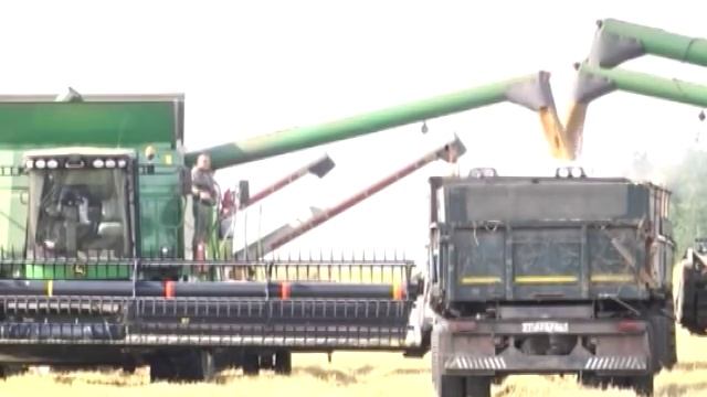 Поздравление Губернатора Курганской области Алексея Кокорина с Новым годом смотреть онлайн