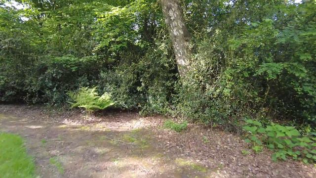 Morning walk through beautiful Amstelpark 4K | Amsterdam, the Netherlands | City Park Walking Tour смотреть онлайн