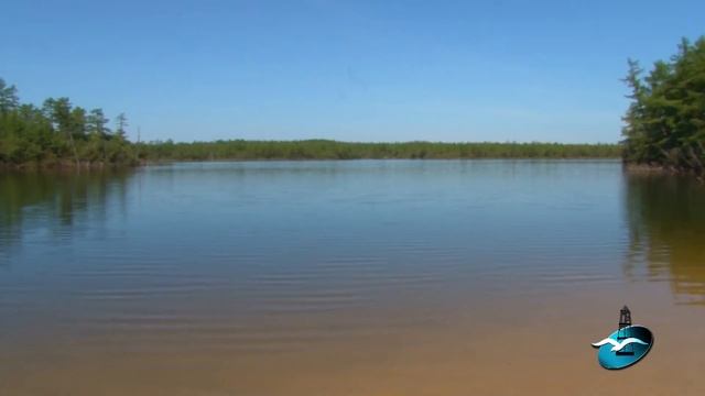 Чем пахнет вода из-под крана?