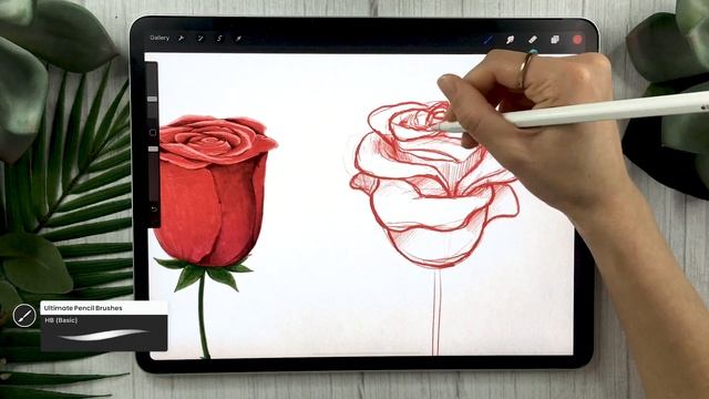 How To Draw A Rose • Paper & Pencil or Procreate Tutorial • Valentine's Day Art смотреть онлайн
