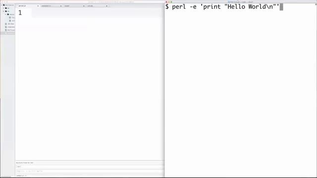 Learn Perl Programming in ~90 minutes (Explanation in Hindi) смотреть онлайн