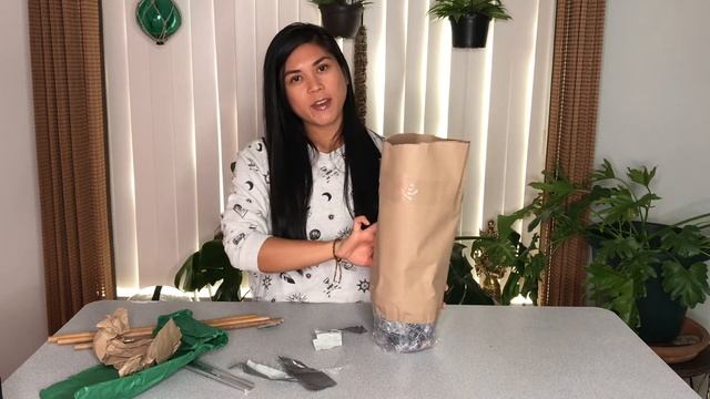 UNBOXING | Plant Mail | Syngonium Pink Splash | Aroid Greenhouse