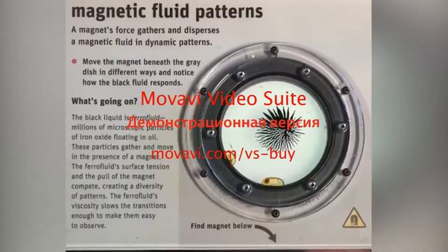 Реласируйте всместе со мной смотреть онлайн