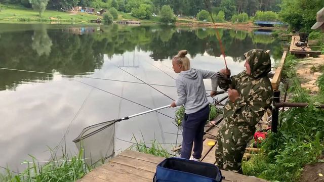 Клев карпа смотреть онлайн