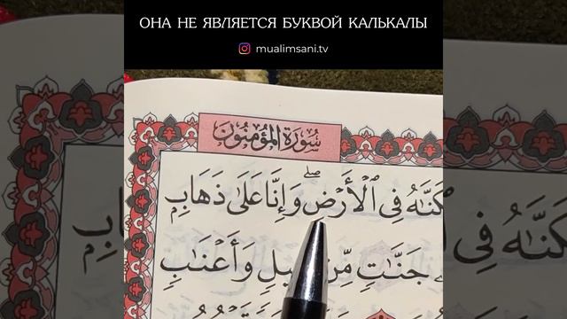 ОНА НЕ ЯВЛЯЕТСЯ БУКВОЙ КАЛЬКАЛЫ смотреть онлайн