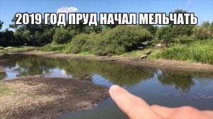 УКРЕПЛЕНИЕ берегов у ПРУДА, самое эффективное решение!