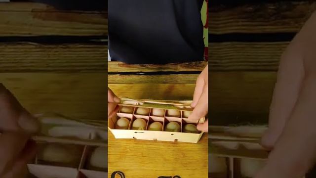 Яйцо Фазана смотреть онлайн