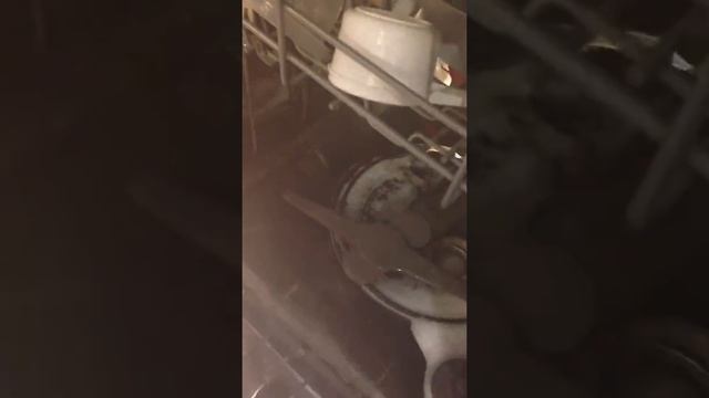 Me touching dishwasher heating element смотреть онлайн