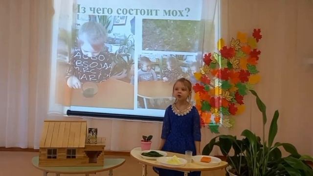 Проект "Что такое мох" смотреть онлайн