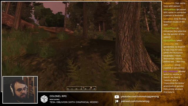Oblivion (with graphics mods) - Twitch Playthrough - Part 19 смотреть онлайн