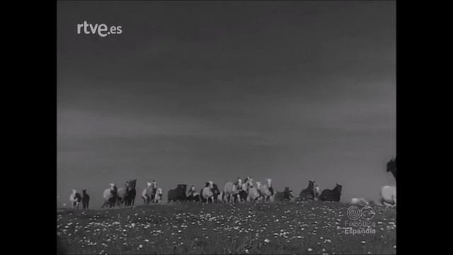Vila Franca de Xira 1955 смотреть онлайн