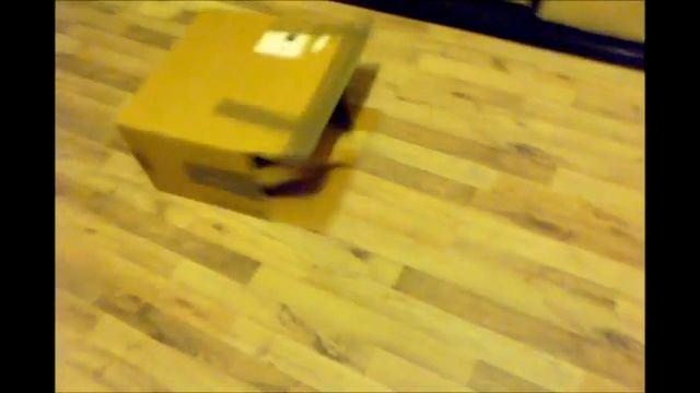 HOW TO : как поймать кота смотреть онлайн