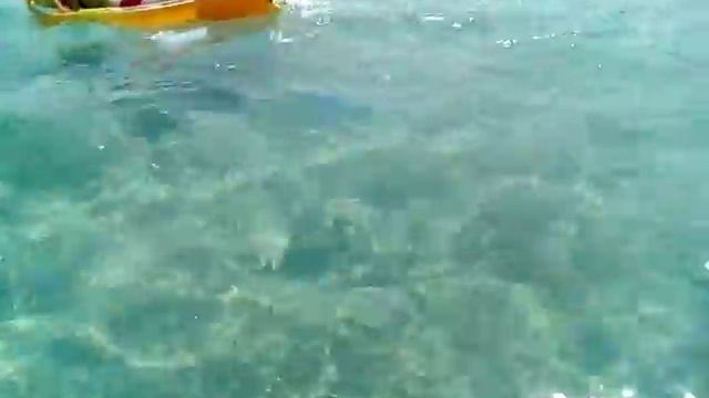 пгт Оленёвка. Крым. нашествие синих медуз. смотреть онлайн