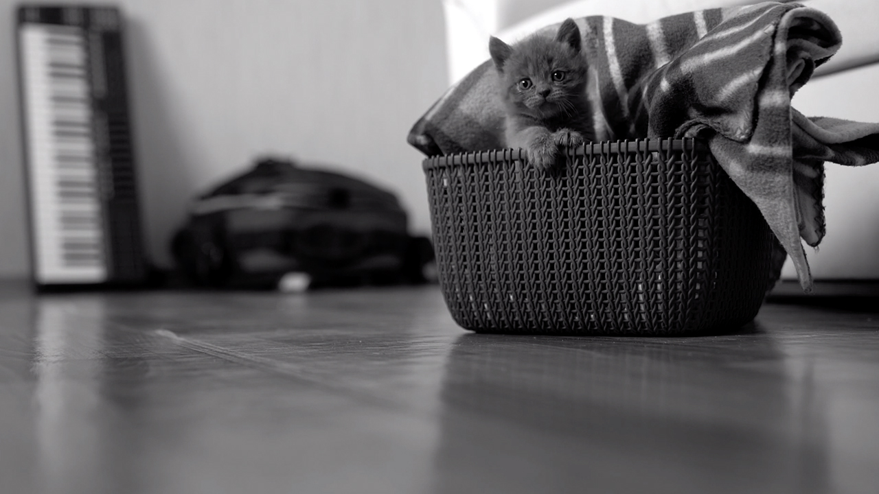 Бусинка (Буся) - Знакомство