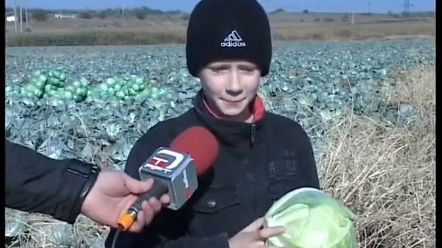 Детский дом Жемчужинка. Трудовое воспитание смотреть онлайн