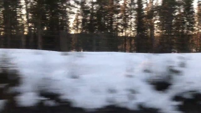 TRAIN SOUND/Ты точно уснешь под стук колес поезда