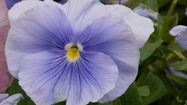 Lumix DMC-G2 動画EXズーム サンプル смотреть онлайн