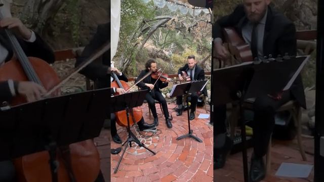 Los Angeles Wedding Music - String Trio - Jason Sulkin Music - A Sky Full Of Stars - Alt Trio