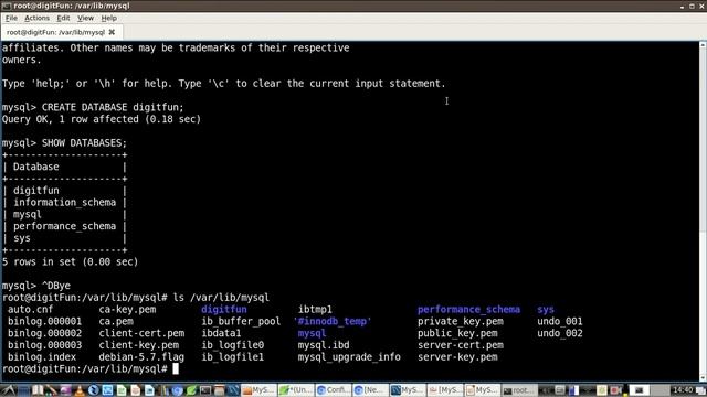 CREATE / DROP DATABASE - MySQL Database Administration Practices смотреть онлайн