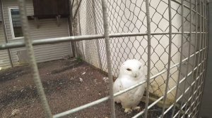 Карелия. 7 дней по южной Карелии на внедорожнике без толп туристов (хутор Академика, Ястребиное и д