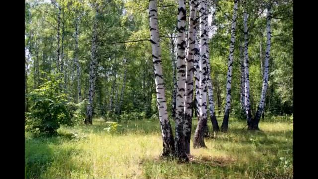 Русский вопрос N7 Народная культура и русская самобытность смотреть онлайн