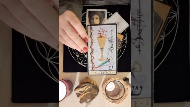 VERSEAU ♒ NOVEMBRE 2023 I LA ROUE TOURNE ~ Sortir de l'ombre et reconnaître son potentiel ✨ смотреть онлайн