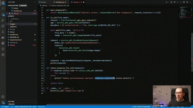 Найдем на картинке котика смотреть онлайн