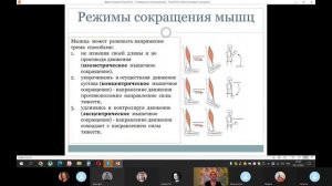 Введение в биомеханику