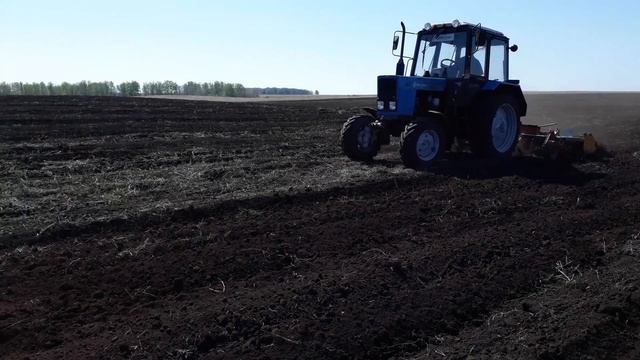 Культивируем поле, сеем медоносы фацелию и синяк. смотреть онлайн