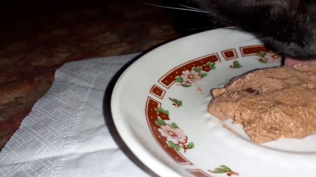 Кот с удовольствием ест корм Purina Pro Plan Veterinary Diets UR Urinary смотреть онлайн