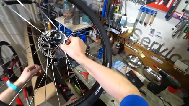 Forward Apache кровожадный.