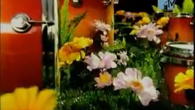 Kristina Orbakaite - Da-Di-Dam смотреть онлайн