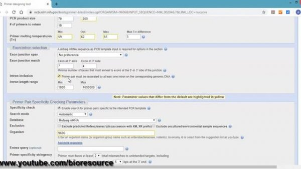 Primer designing for real time PCR using NCBI Primer Blast