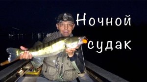 Вечерние БЕСЕДЫ о Рыбалке. Ловим СУДАКА.
