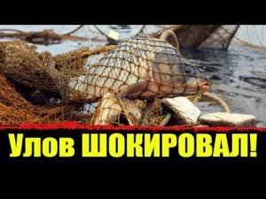 ⚡️ Ловим рыбу на сети . Улов удивил! Вот это улов!!! Проверка сетей. Рыбалка на сети весной