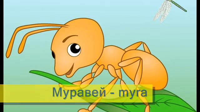 insects done смотреть онлайн