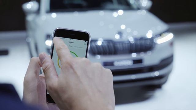 Skoda  Connect: Infotainment Systems