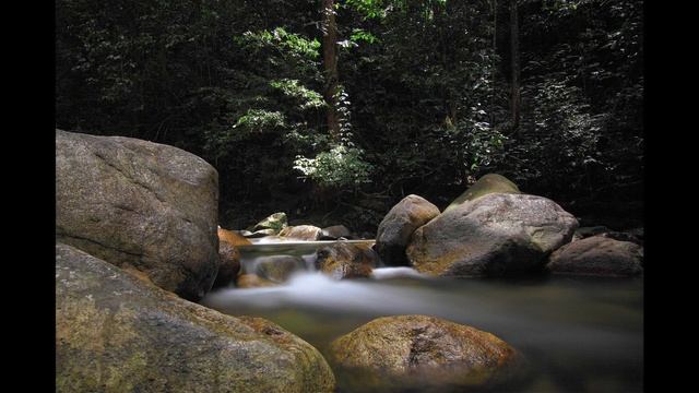 расслабляющий рассказ под музыку, мудрые слова и хорошие советы смотреть онлайн