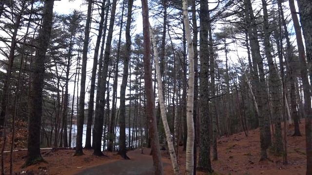 Если ехать, то в ГАЛИФАКС смотреть онлайн