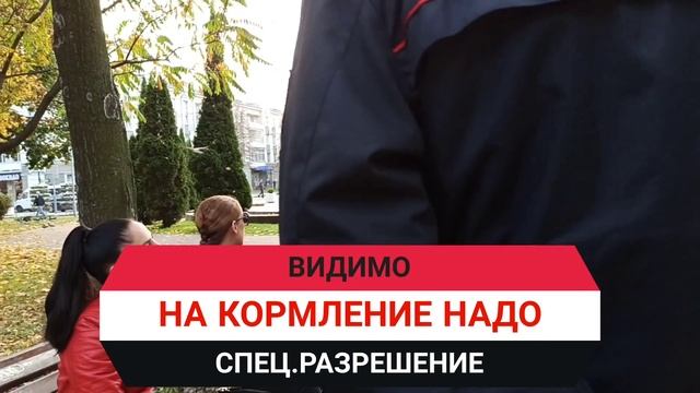 КАК ПРАВИЛЬНО КОРМИТЬ ГОЛУБЕЙ ,ИЛИ ИНСТРУКЦИЯ ОТ ГОМЕЛЬСКИХ МИЛИЦИОНЕРОВ смотреть онлайн