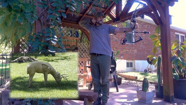 Backyard Bows Hoyt Torrex Review