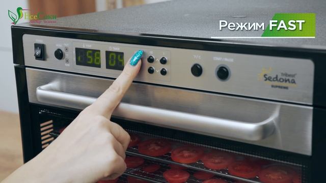 Куда деть урожай? | Превращаем горы овощей в ароматные КУЛИНАРНЫЕ ПОРОШКИ смотреть онлайн