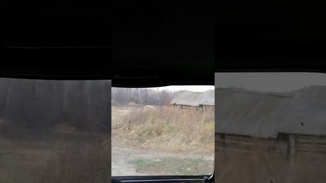 Вымирающая деревня Песчанка Пензенская область Шемышейский район смотреть онлайн