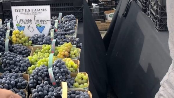 Visit To Canadian Village Market/Vlog